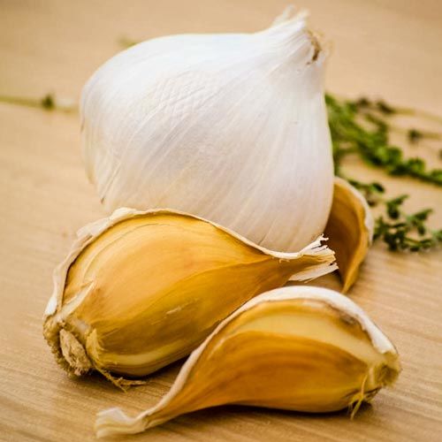 How to Grow Garlic: A Beginner’s Guide