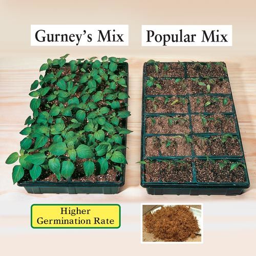 Seed Starting Tips from Gurney’s