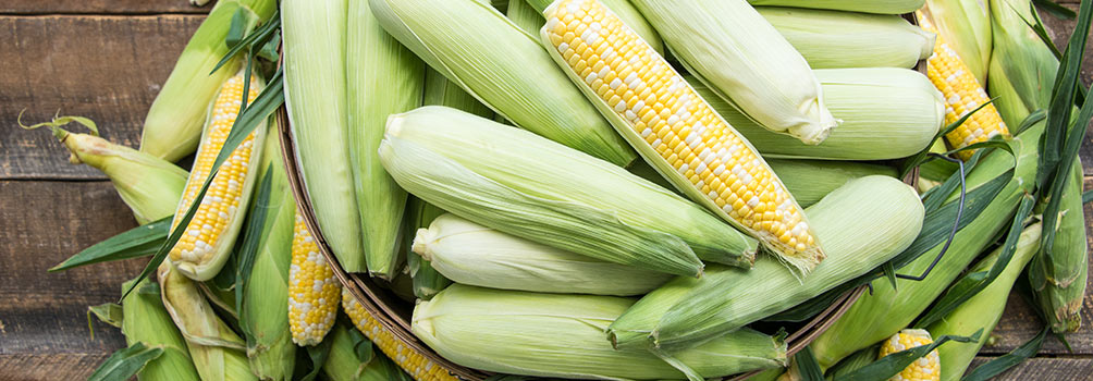 Vegetables to Grow From Seed: Sweet Corn