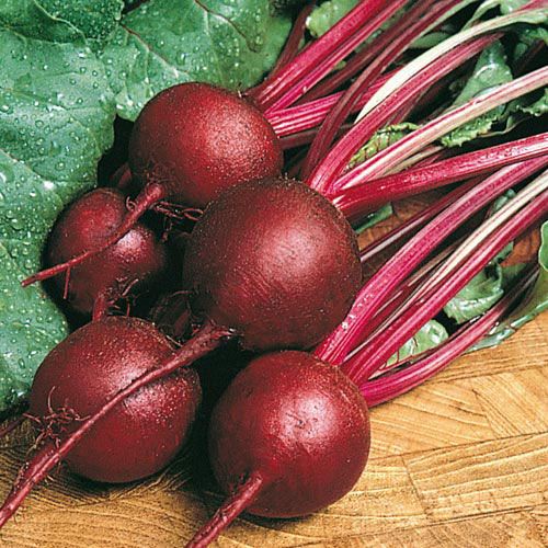 We Love Beets, and You Should Too!