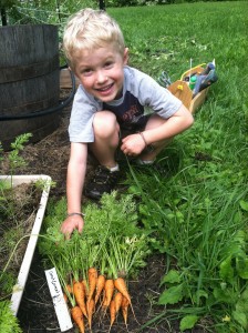 Young Carrot Gardener
