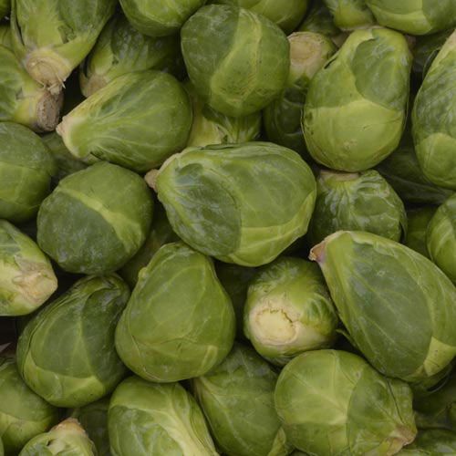 Brussels sprouts can be delicious – really!
