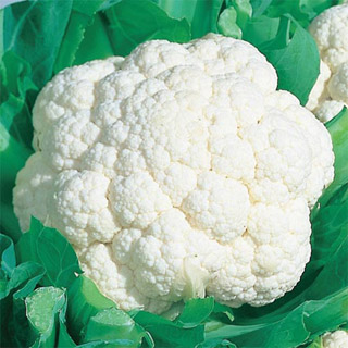 All about…cauliflower