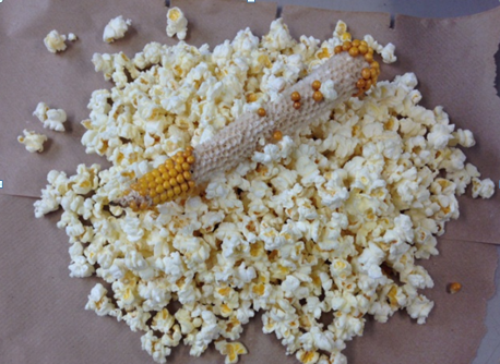 A new way to make popcorn!