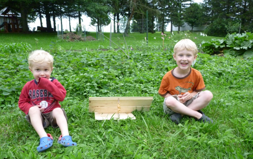 The boys set up their own animal trap one year when something was eating their strawberries!