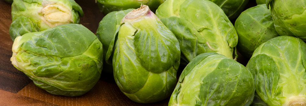 Brussels Sprouts—A Winter Garden Treat