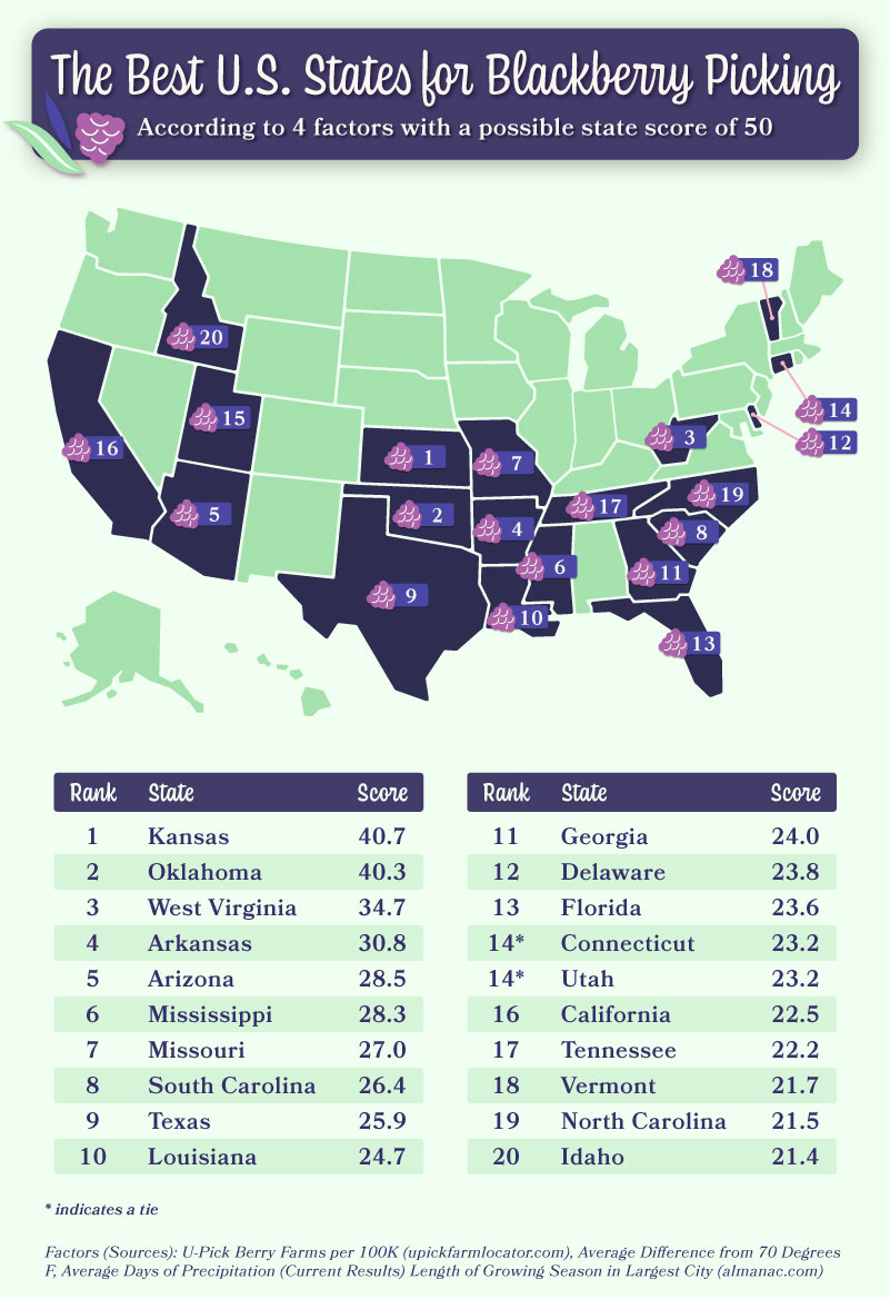 Map showing the best US states for blackberry picking 
