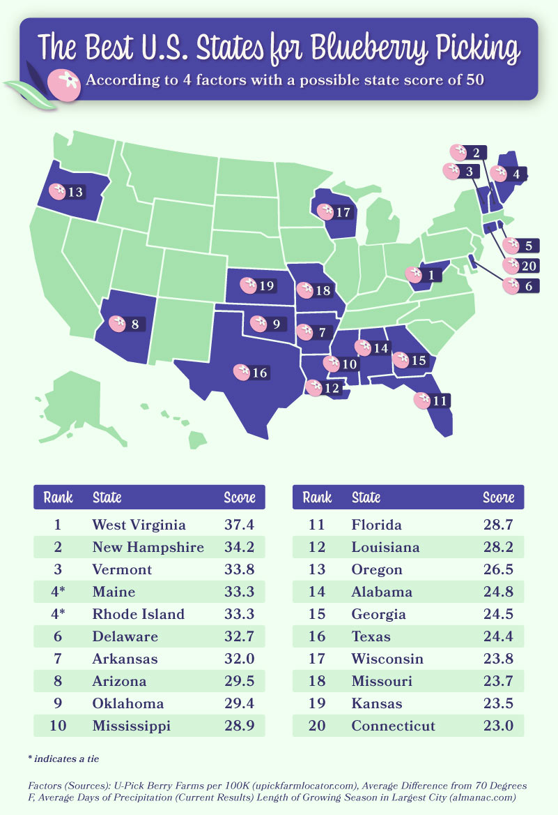 Map showing the best US states for blueberry picking