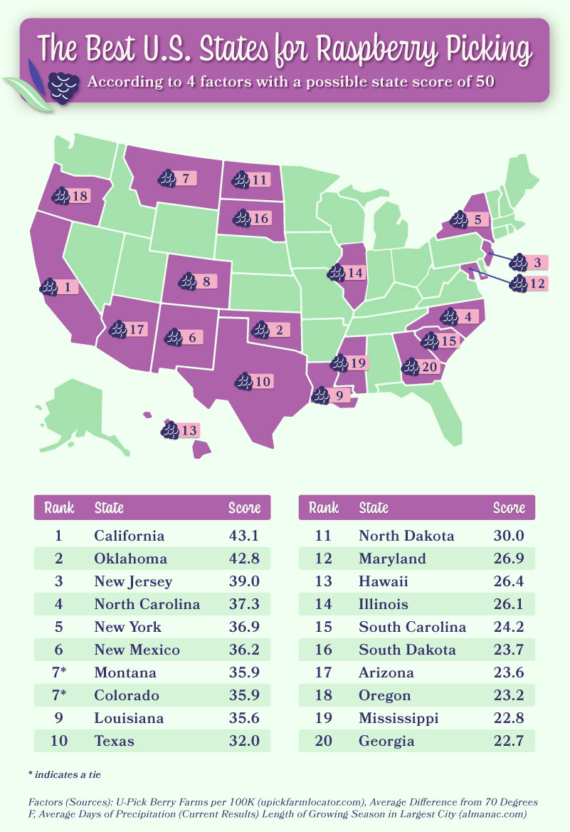 Map showing the best US states for raspberry picking 