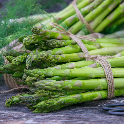 Asparagus