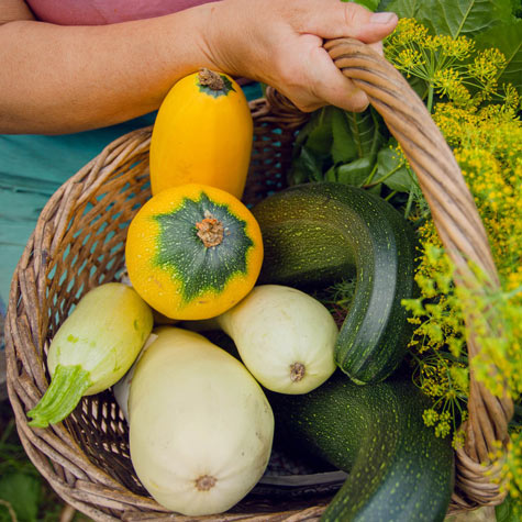 Benefits of Rotating Vegetable Crops