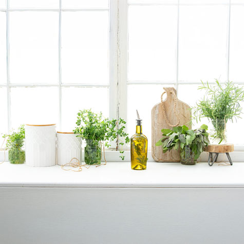 How to Grow Herbs Indoors