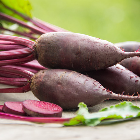 Caring for Your Beets