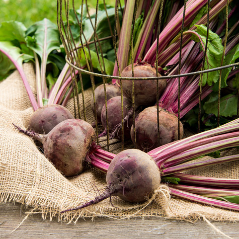 Why Grow Your Own Beets?