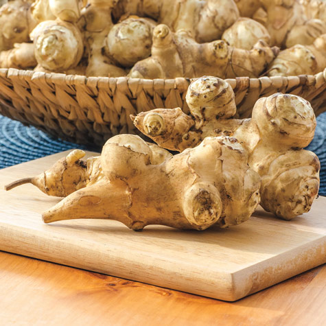 Jerusalem Artichoke